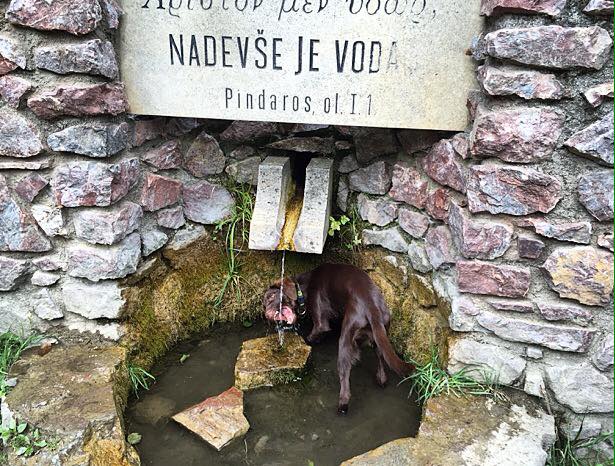 Přírodní park Baba (Jinačovice)