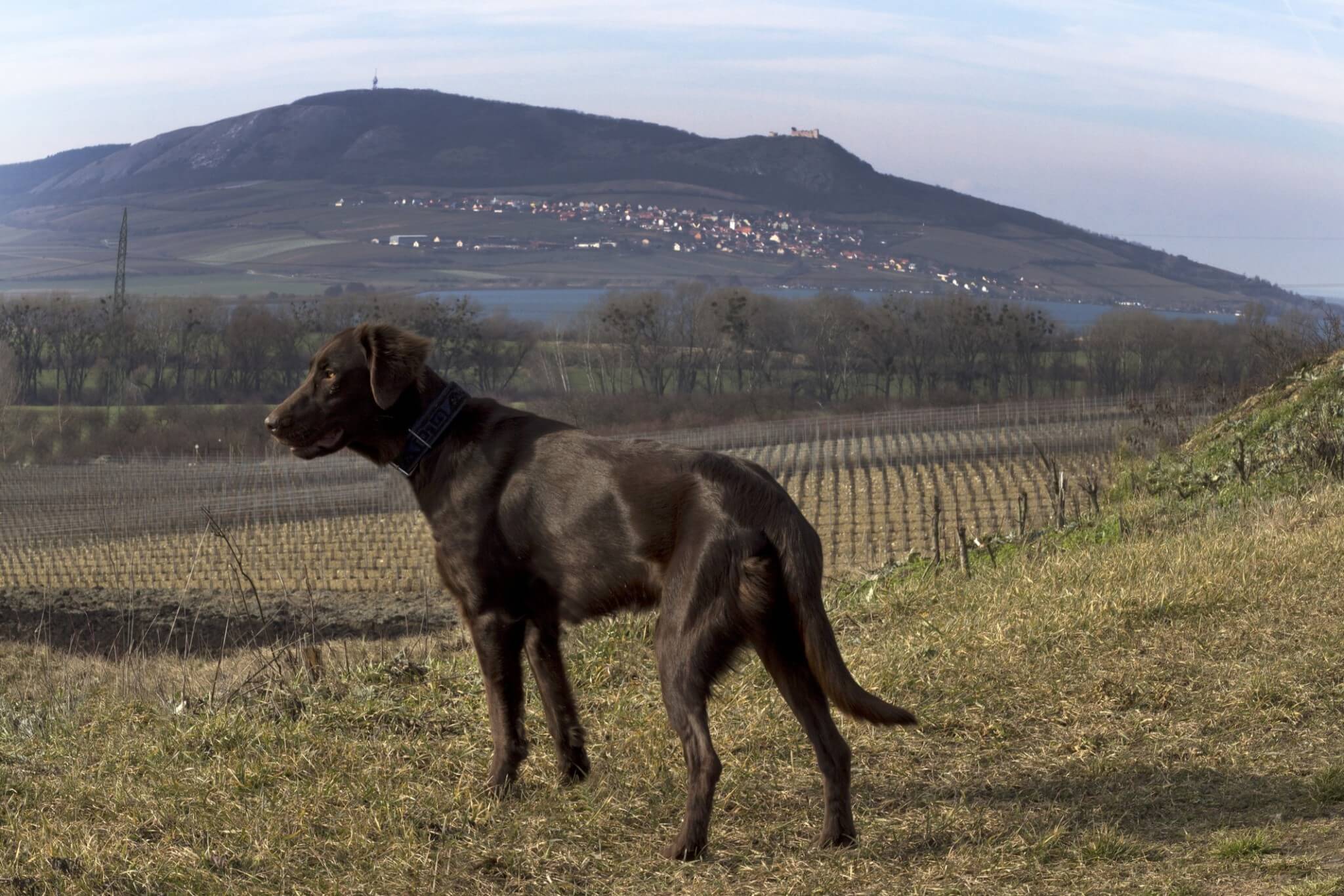 Na Pálavu trochu jinak